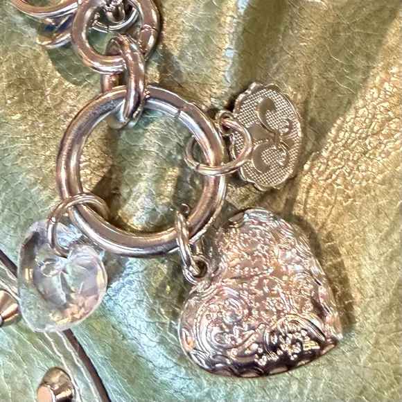 Kathy Van Zeeland Purse Metallic Green Silver Charm Satchel Bag - Picture 4 of 16